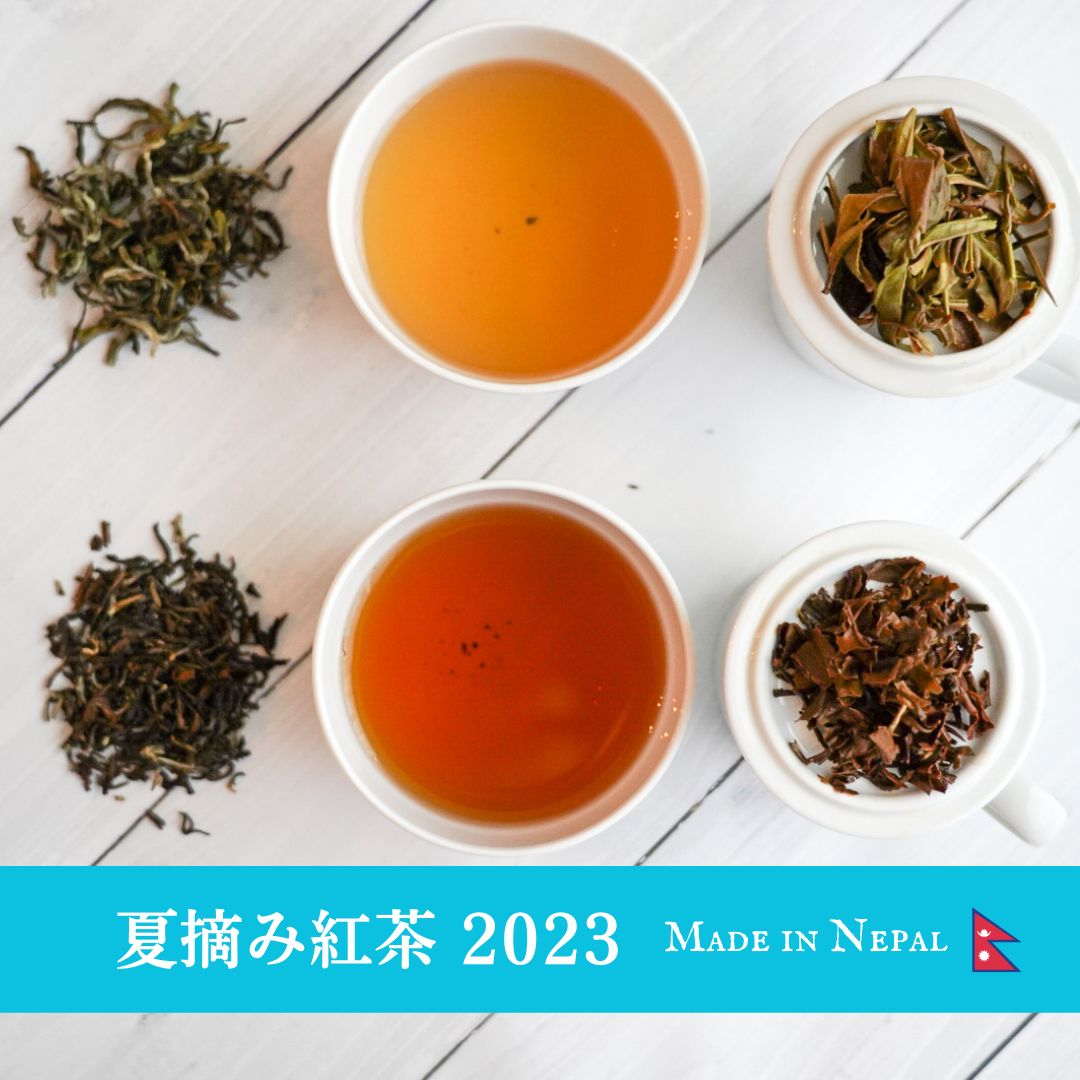 《2023年夏摘み紅茶》  ネパール紅茶《飲み比べセット2袋》