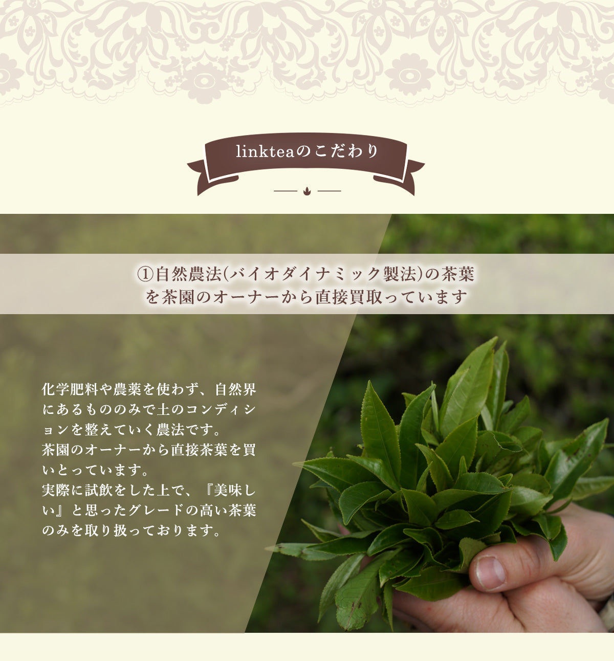 2024年linktea紅茶 福袋セット【4,800円】