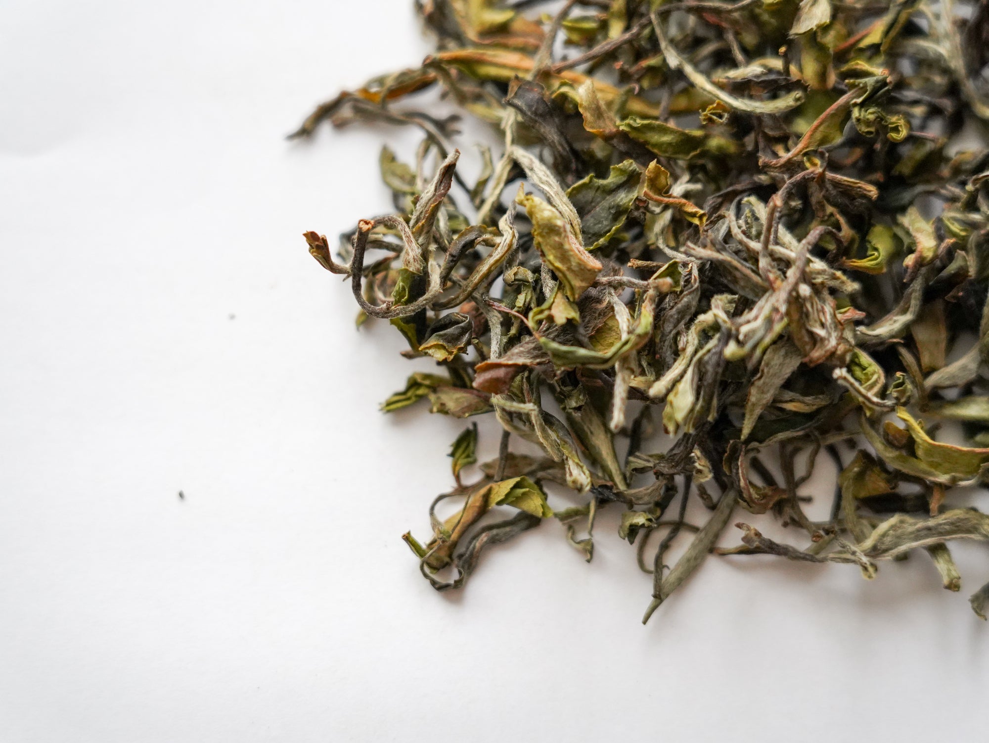 【2022年】 春摘み紅茶 -CLASSIC TEA- (茶葉 45g)